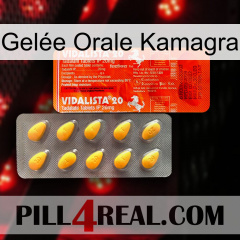 Gelée Orale Kamagra new01